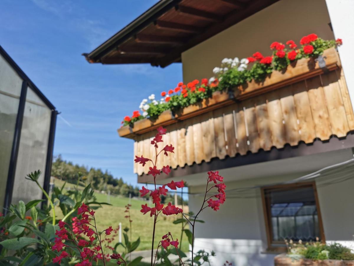 Bio-Bauernhof Mairinghof-Paris Villa Silandro Luaran gambar